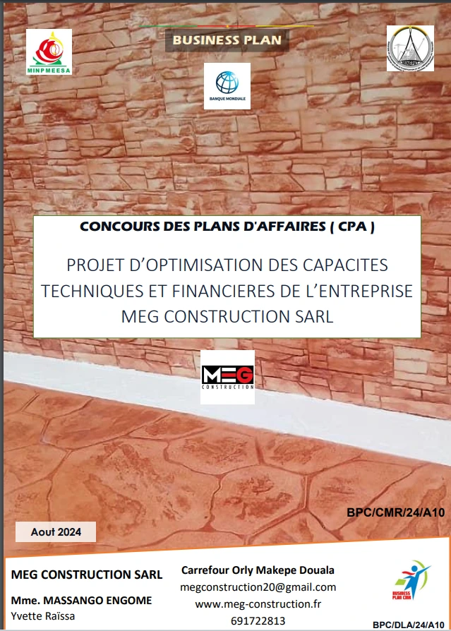 Business Plan MEG