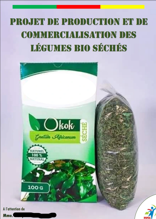 Business Plan Legumes séchés