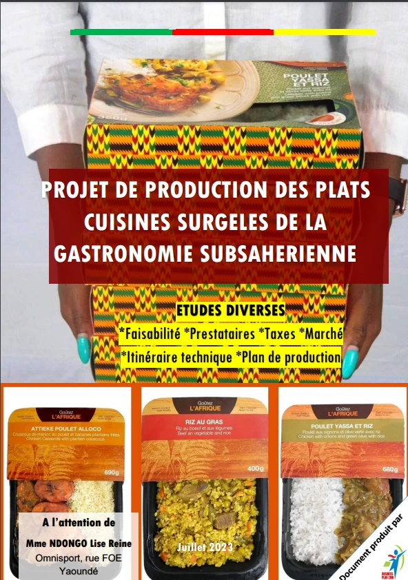 Business Plan Frozen Food