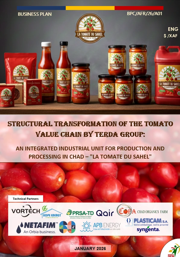 Business Plan TERDA Groupe