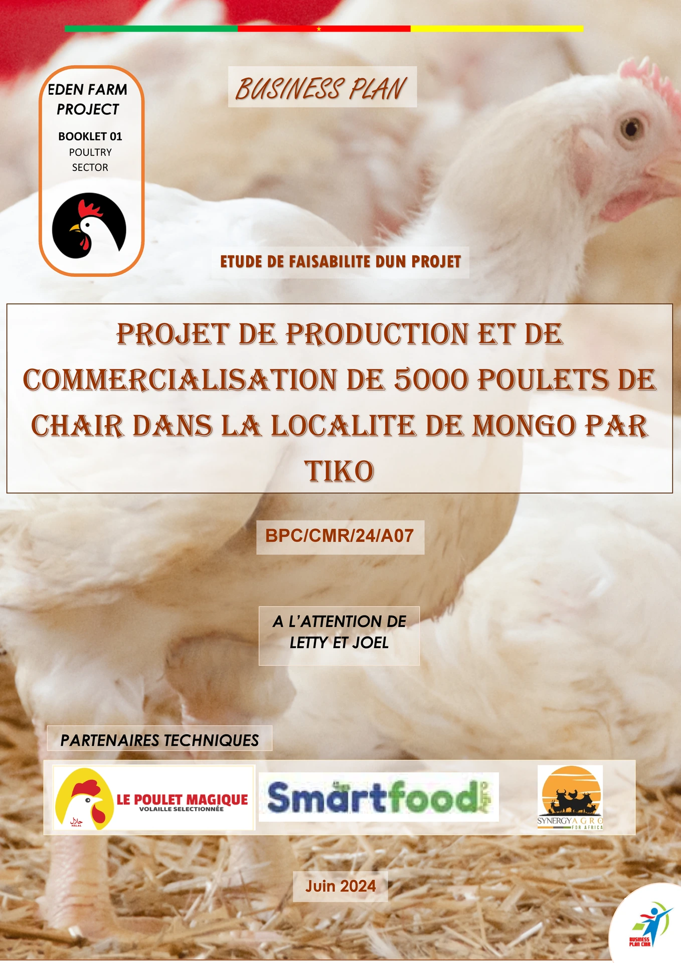 Business Plan Poulet